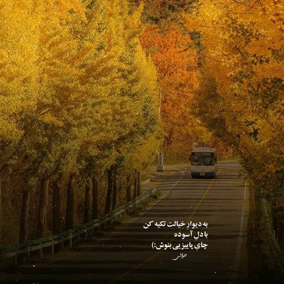 حسین تی ام دیگه همه میدونن که تکه کار من انقدر رپ میکنم